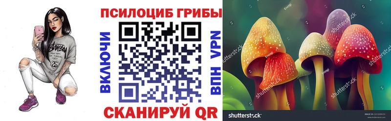 Псилоцибиновые грибы Psilocybine cubensis  дарнет шоп  это наркотические препараты  Ардон 